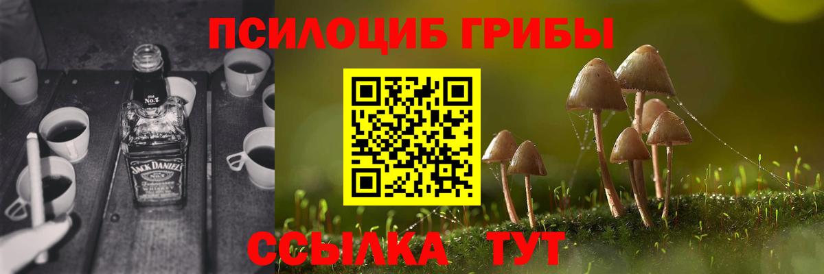 Галлюциногенные грибы ЛСД  Вход с VPN  как найти наркотики  Ливны 